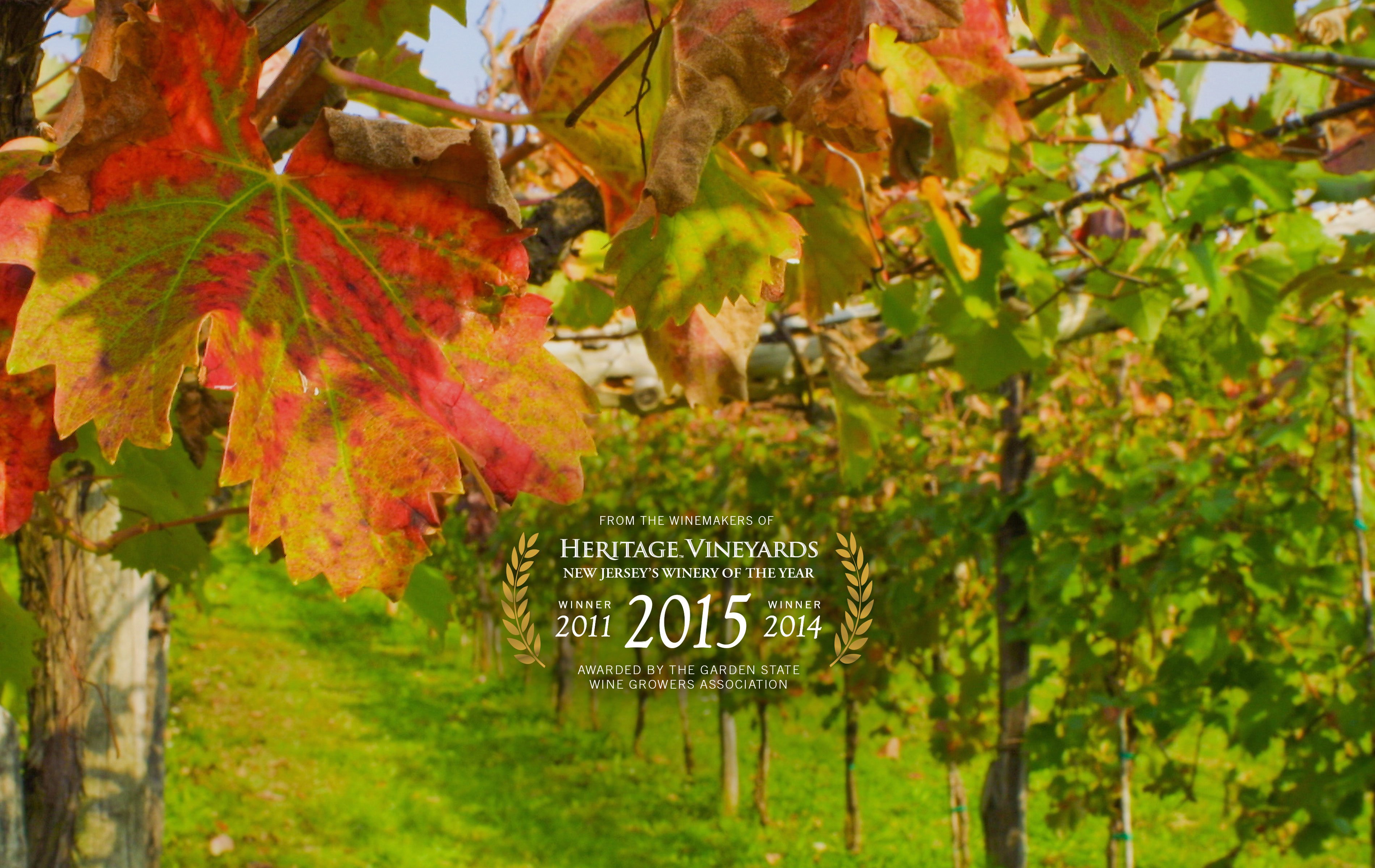 Jersey Wines A Collection from Hertiage Vineyards