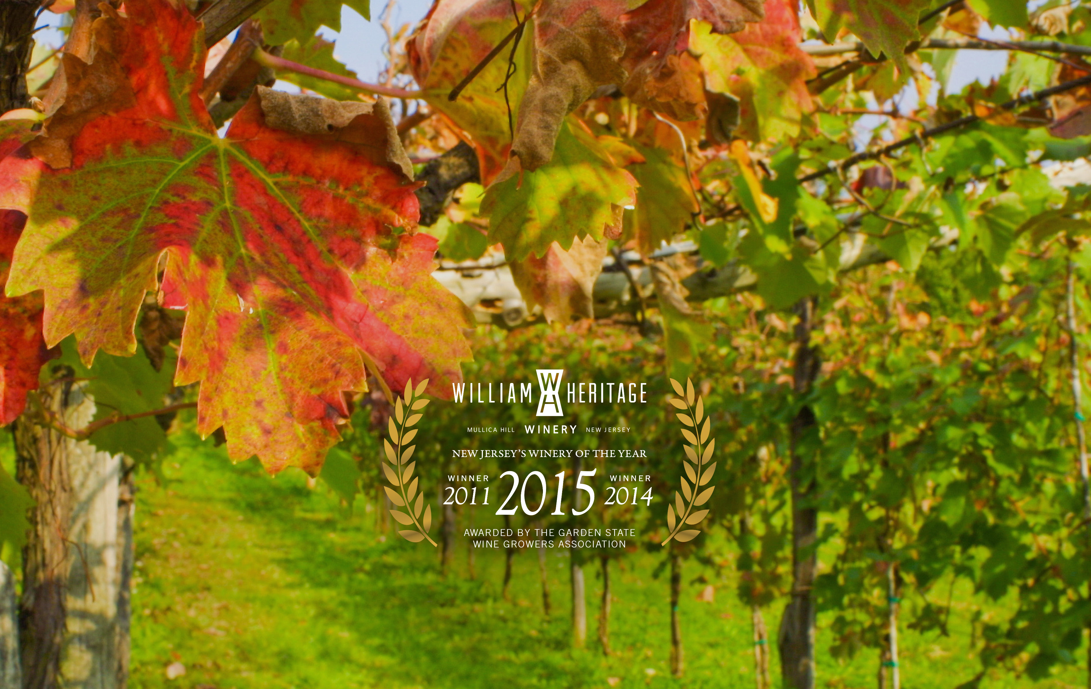 Jersey Wines A Collection from William Heritage Winery